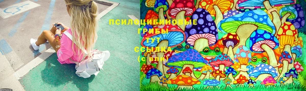 прущий лед Абаза
